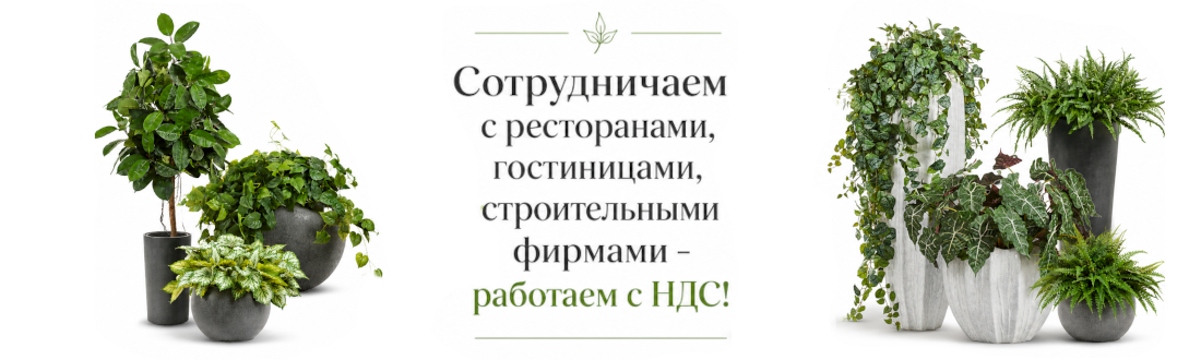 Продажа искусственных растений и кашпо с НДС nds